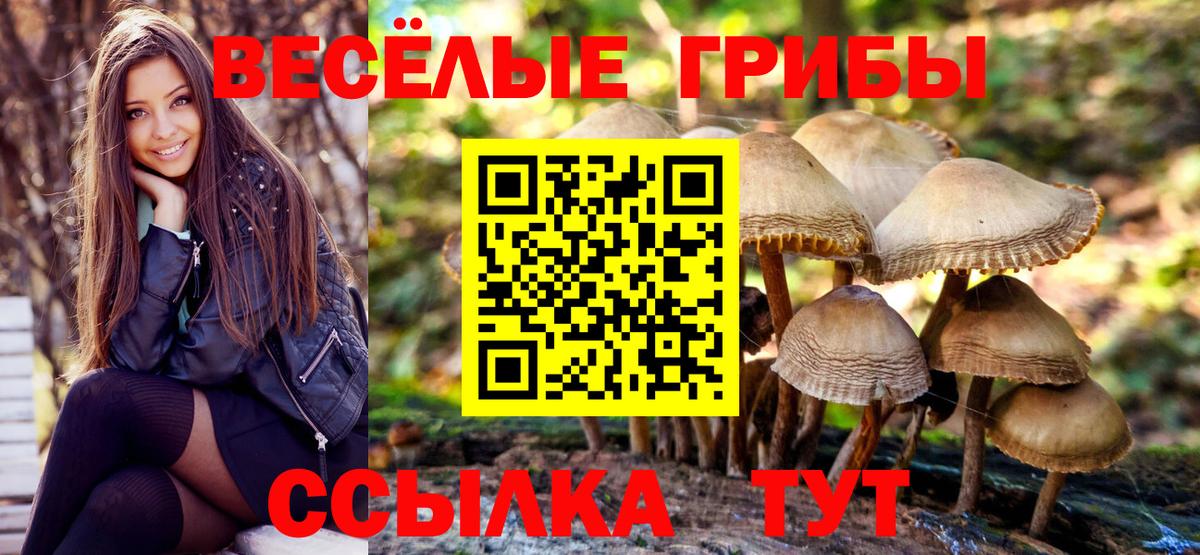 Псилоцибиновые грибы MAGIC MUSHROOMS Советский