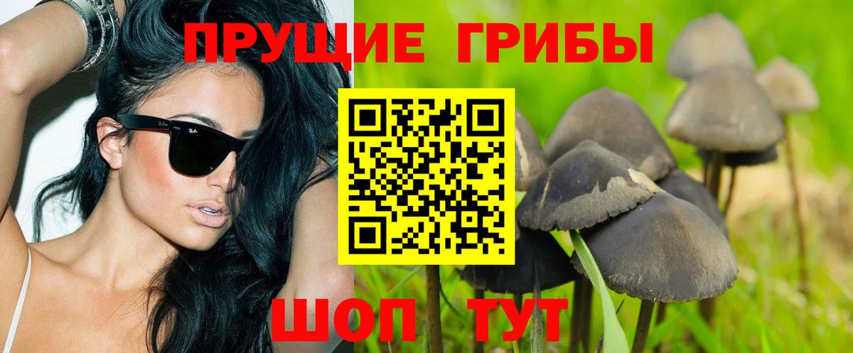 Советский  Псилоцибиновые грибы Psilocybe  где купить наркоту  Вход с VPN 